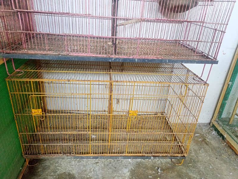 Birds folding cages 3