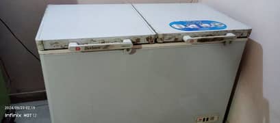 Dalwance 2 Door Deep Freezer 0