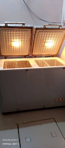 Dalwance 2 Door Deep Freezer 2