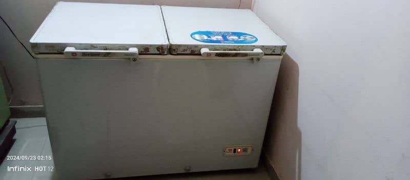 Dalwance 2 Door Deep Freezer 10