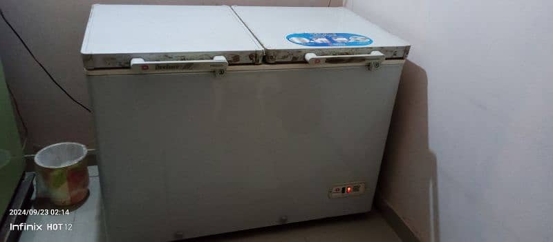 Dalwance 2 Door Deep Freezer 11