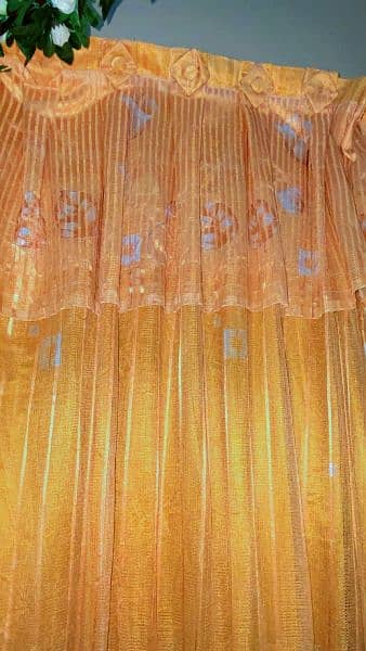 Golden Net Fancy Curtain 2