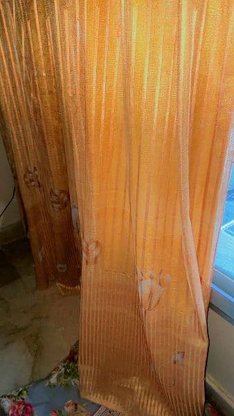 Golden Net Fancy Curtain 6