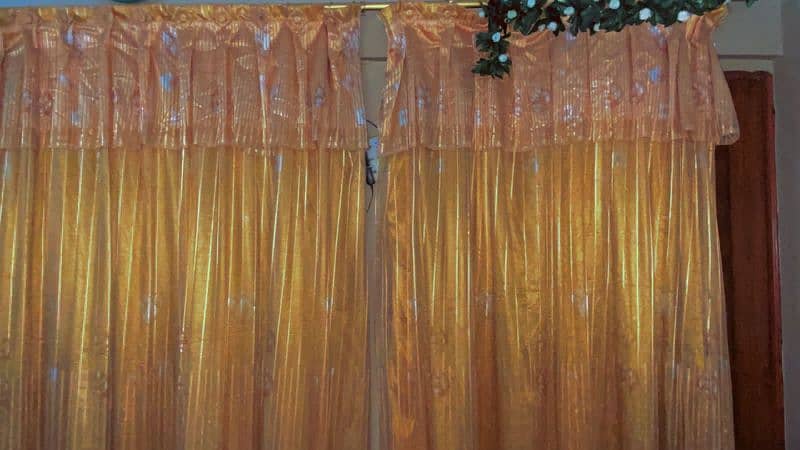 Golden Net Fancy Curtain 9