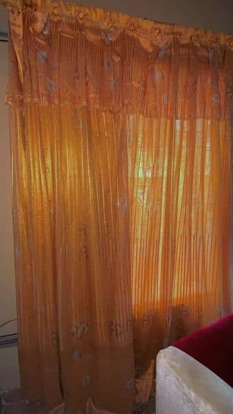 Golden Net Fancy Curtain 15