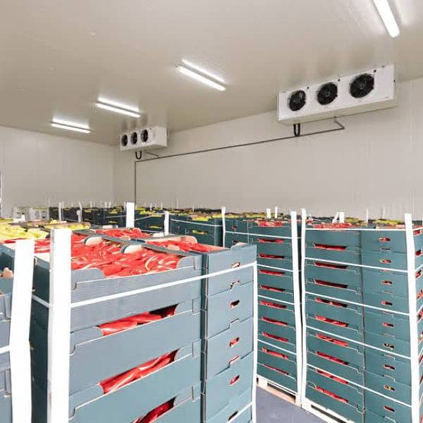 walk in chiller/cold storage/cold room/blast freezer/moveable/meat/egg 4