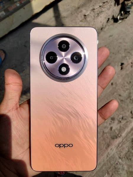 oppo Reno 12f 5g 12gb 256gb 1