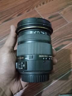 Canon 17-50 2.8 sigma. .