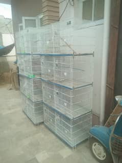 8 portion cages manufacturer by alyan birds:Mr Faizan:03159206151