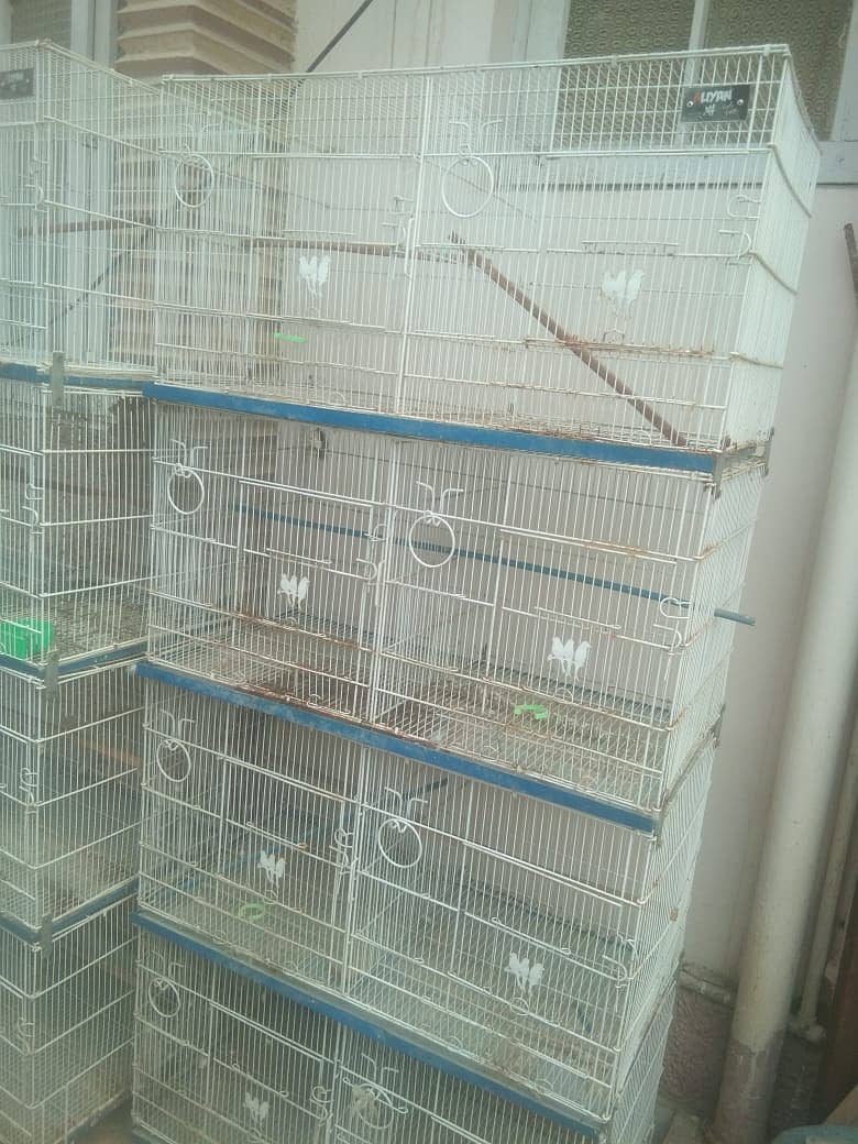 8 portion cages manufacturer by alyan birds:Mr Faizan:03159206151 1