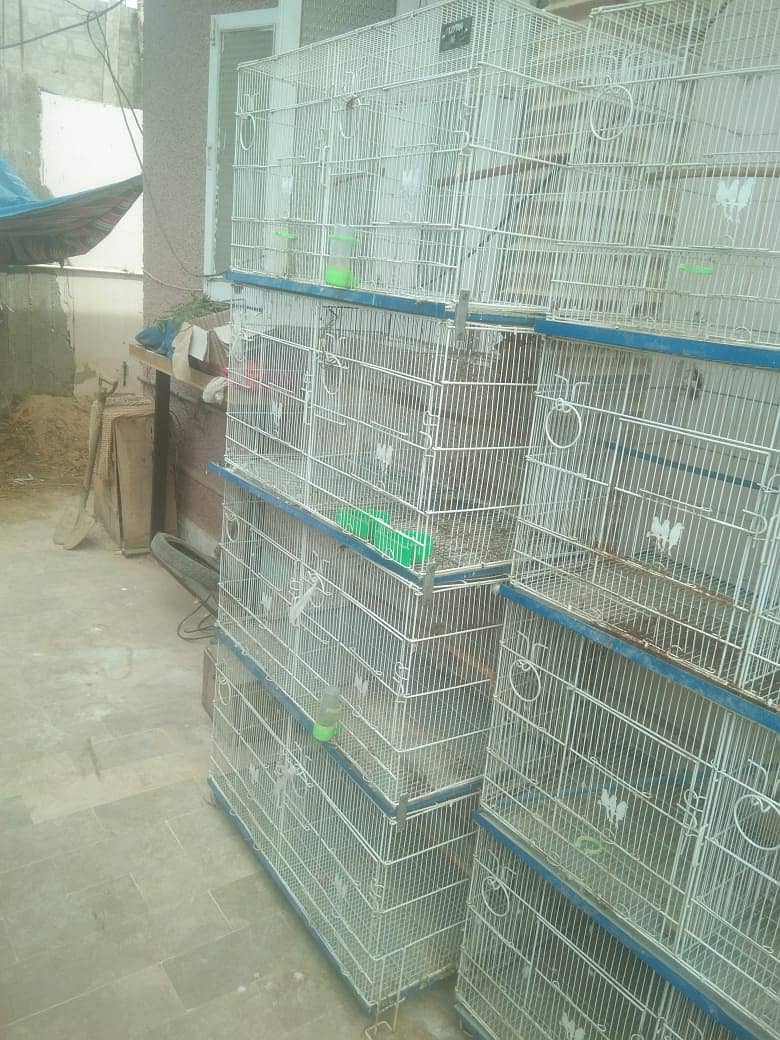 8 portion cages manufacturer by alyan birds:Mr Faizan:03159206151 2