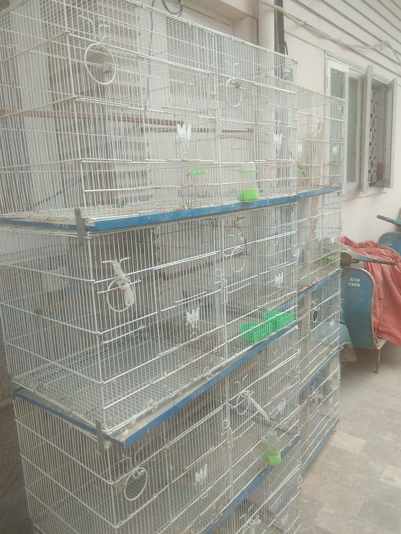 8 portion cages manufacturer by alyan birds:Mr Faizan:03159206151 3