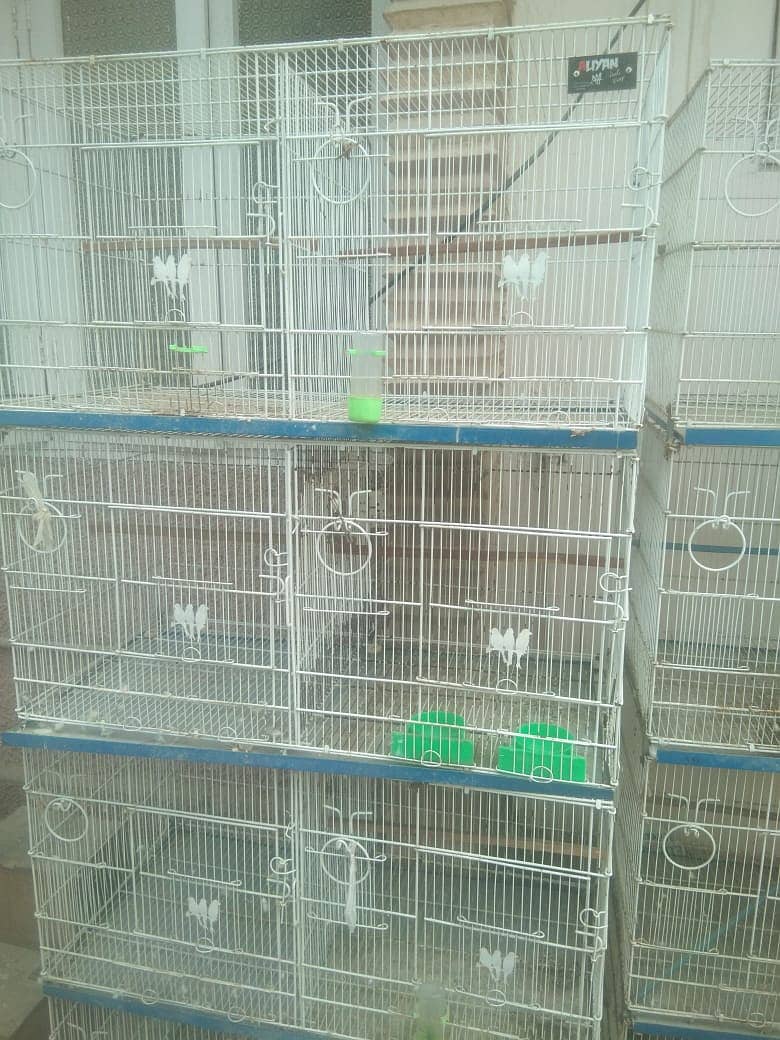 8 portion cages manufacturer by alyan birds:Mr Faizan:03159206151 4