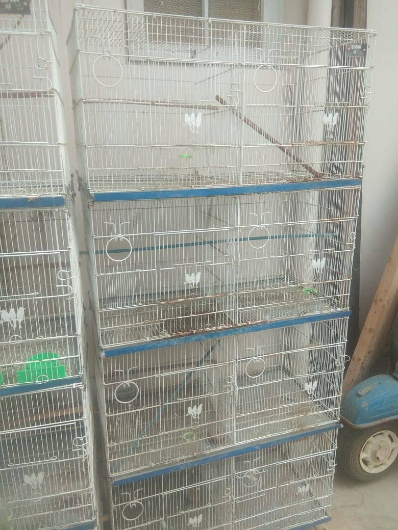 8 portion cages manufacturer by alyan birds:Mr Faizan:03159206151 5