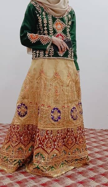 wedding dress / bridal dress / Mehndi wear / mayo wear 1