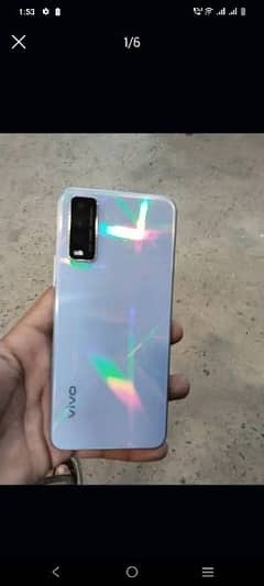 vivo