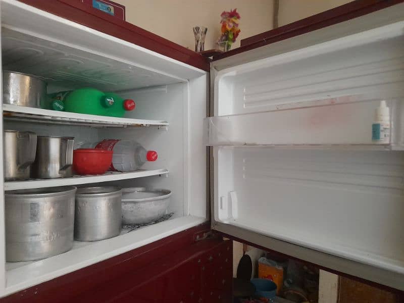 pel  refrigerator good condition no any fault 1