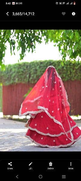 Bridal Lehenga 6