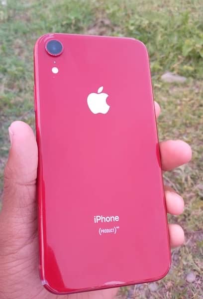 iPhone xr 1