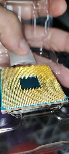 AMD Ryzen 5 5500