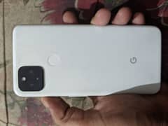 google pixel 4a 5g pannel dead 0