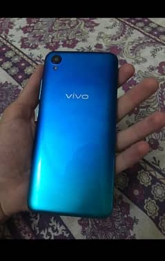 Vivo