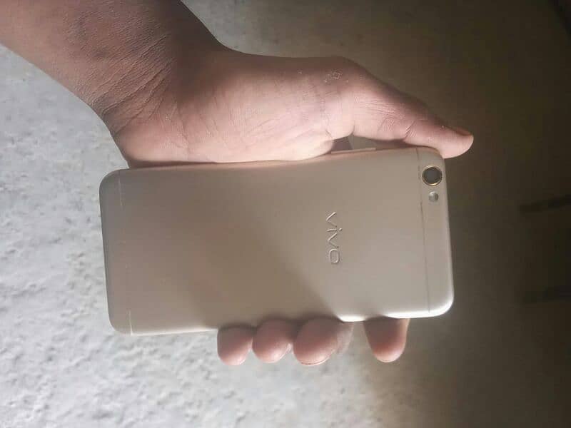 vivo 67 1