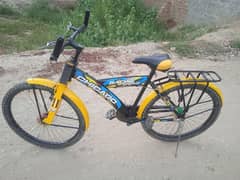 CHICAGO Bicycle for sale