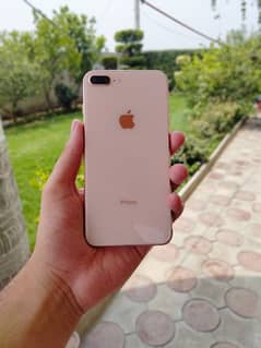 iphone 8 plus non pta