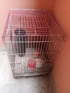 birds cage for sale