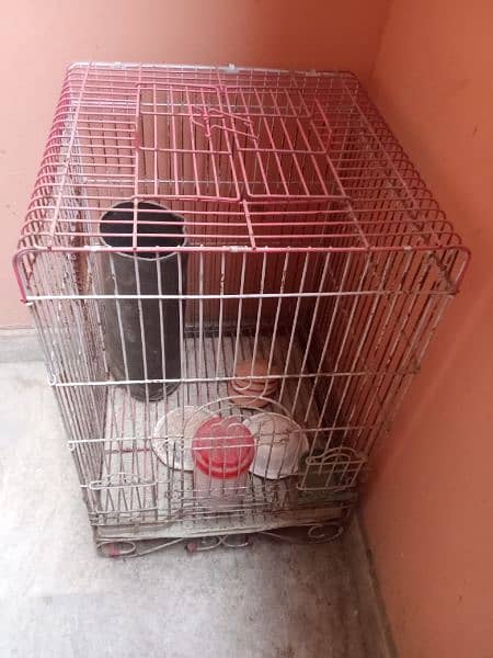 birds cage for sale 0