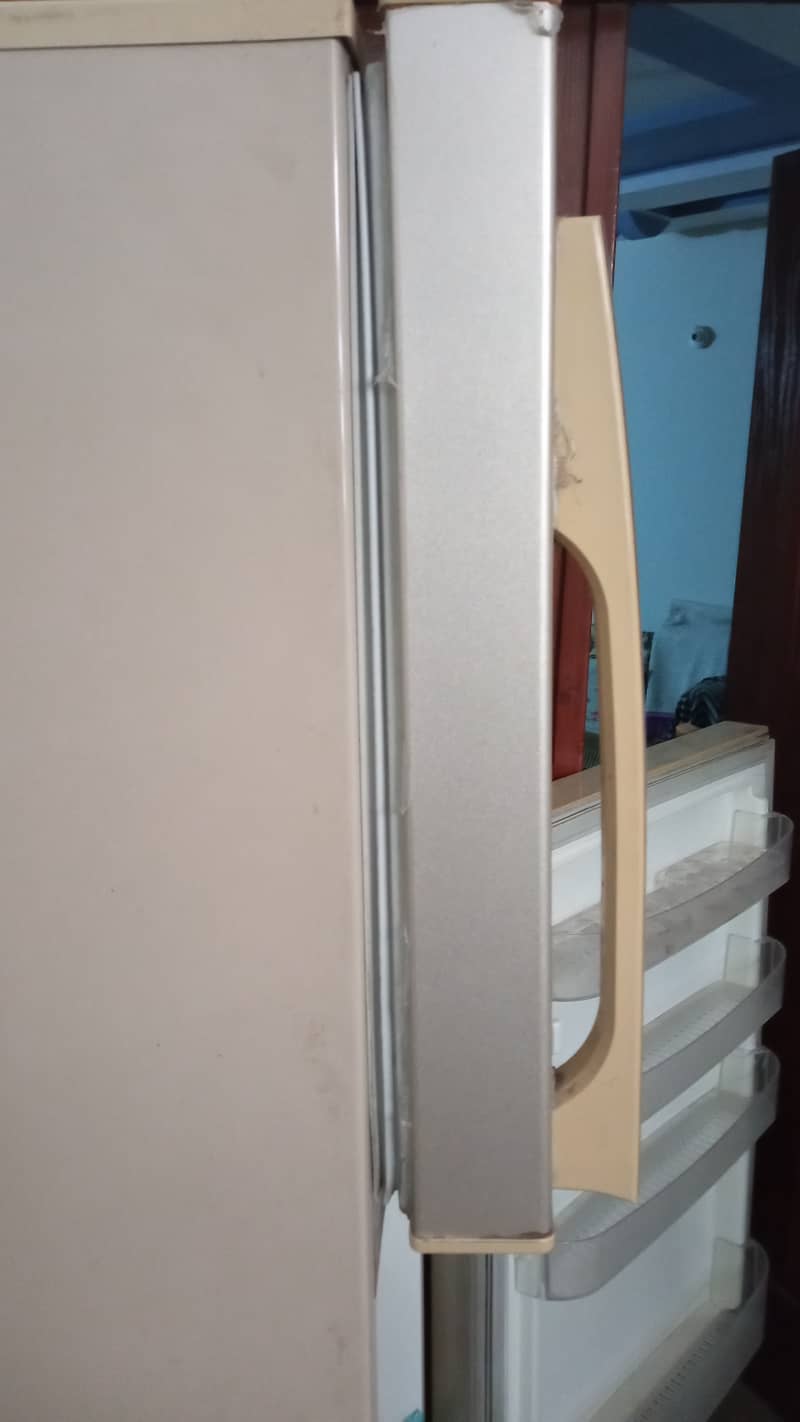 PEL Artic Refrigerator for Sale 2