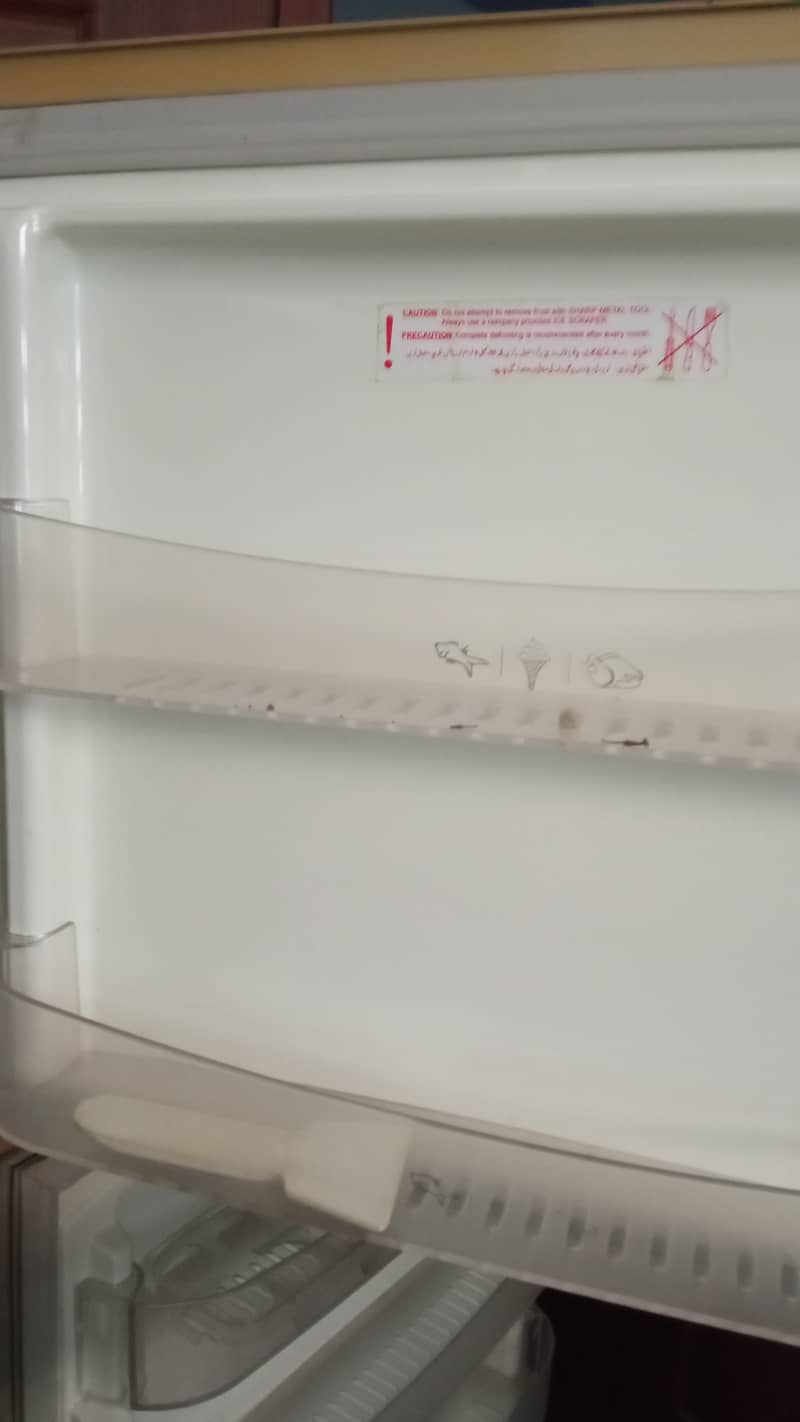 PEL Artic Refrigerator for Sale 3