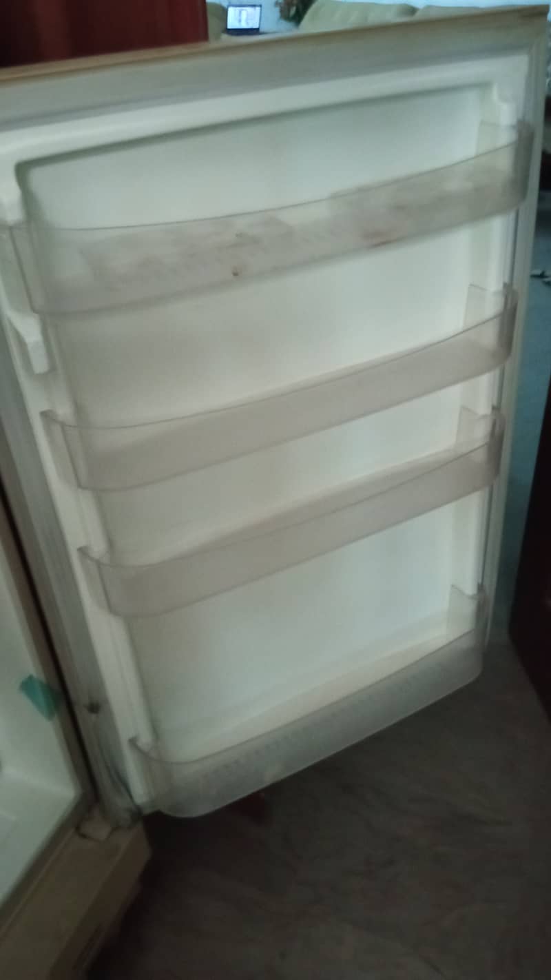 PEL Artic Refrigerator for Sale 4