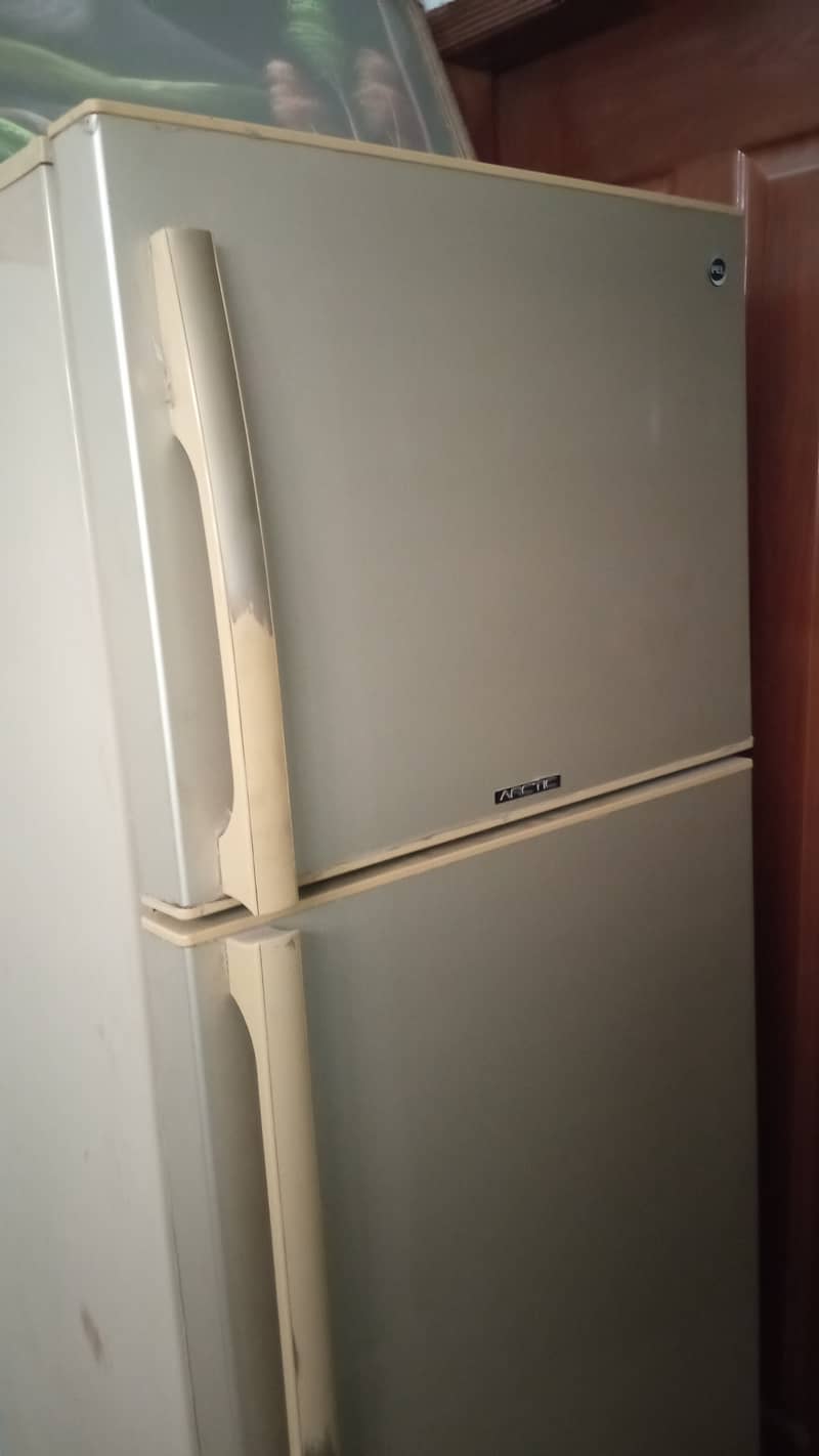 PEL Artic Refrigerator for Sale 5