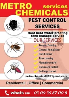 Bed Bugs | Termite | Cockroach | Pest Control | Fumigation in karachi