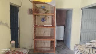 cage/pinjra for birds