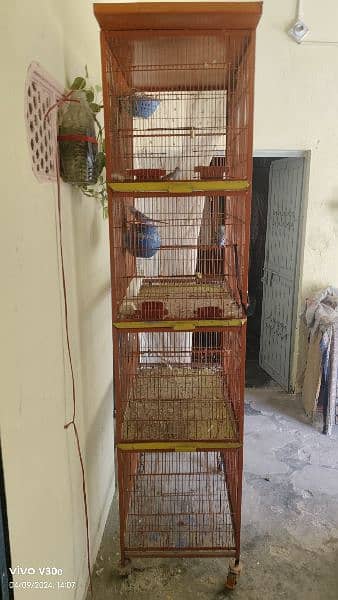 cage/pinjra for birds 1