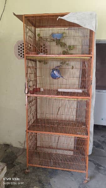 cage/pinjra for birds 5