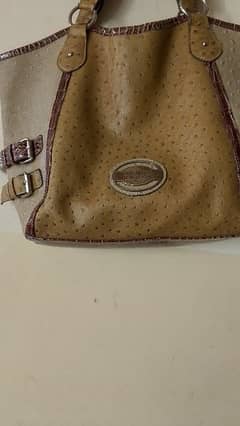 lady shoulder bag