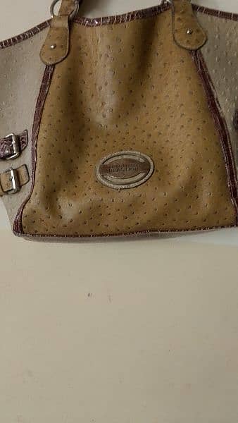 lady shoulder bag 1