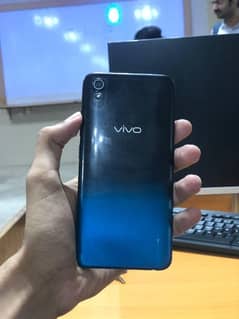 Vivo