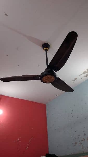 black fan 1