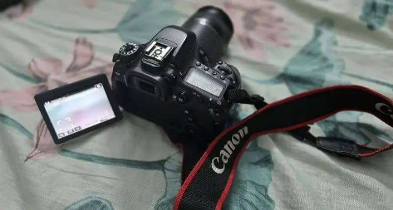 Canon 80D 1