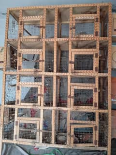 8 poshan wooden cage