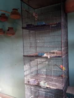 Bird cage 0