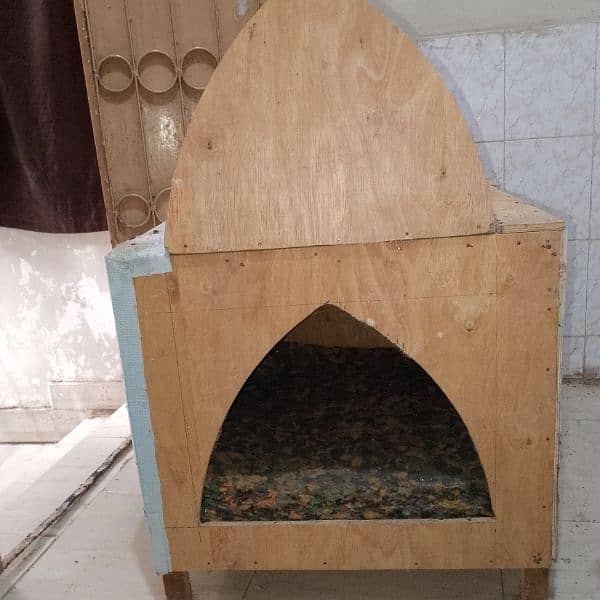 dog or cat  house 0