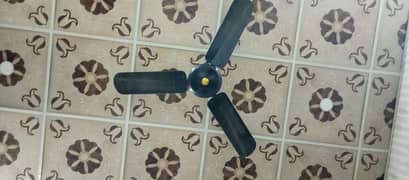 6 fan used