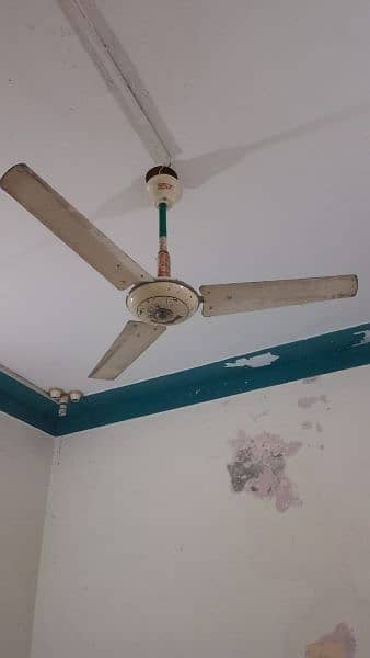 6 fan used 3