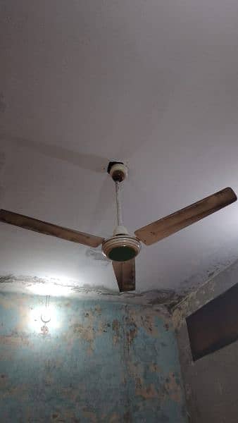 6 fan used 4